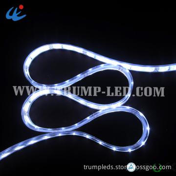 3014 60LEDs/M 6500k led strip lights